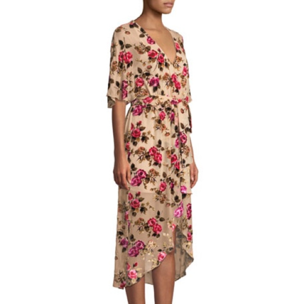 Alice and Olivia velvet floral burnout dress in size 4